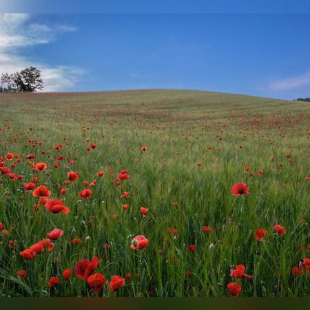 B&B Corte Delle Rose 카스티리오네델레스티비에레 외부 사진