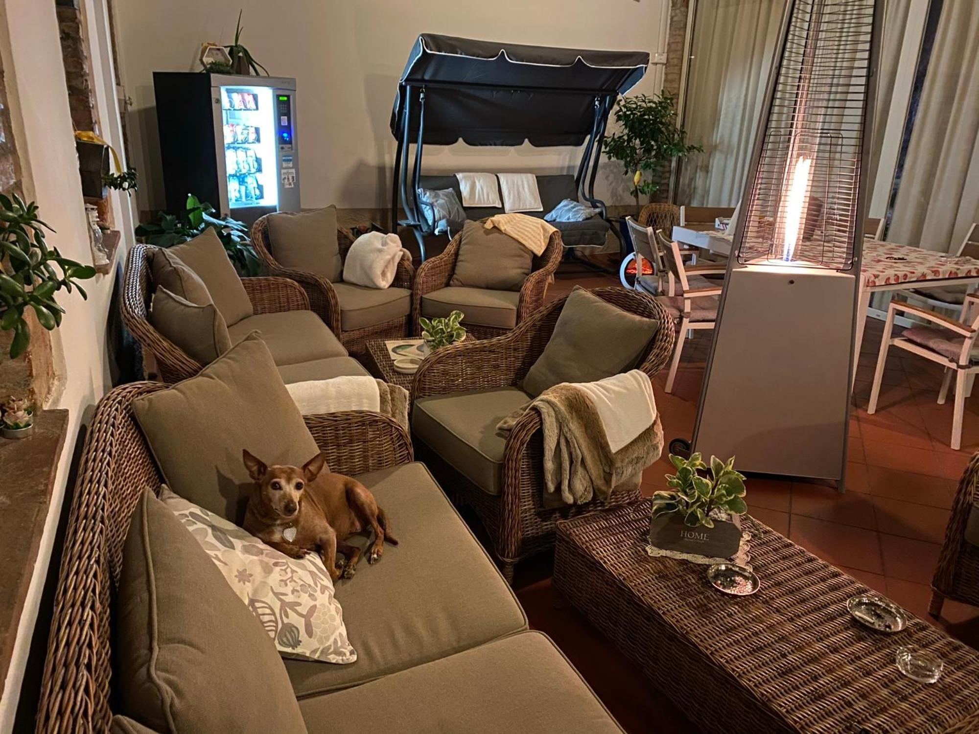 B&B Corte Delle Rose 카스티리오네델레스티비에레 외부 사진